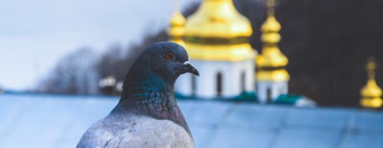 Національний заповідник «Києво-Печерська лавра» очима молодих митців зображення 10