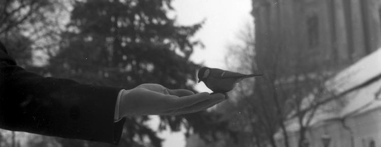 Пропонуємо до вашої уваги черговий випуск фотопроєкту «На згадку про Києво-Печерську лавру» зображення 1