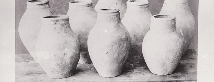 Голосники, зафіксовані у листопаді 1898 р.