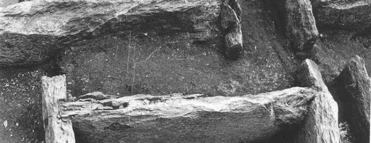 Поховання в саркофагах Успенського собору Києво-Печерської лаври зображення 3