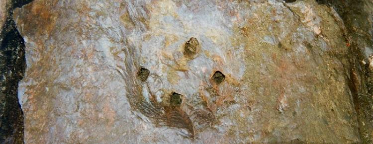 Поховання в саркофагах Успенського собору Києво-Печерської лаври зображення 5