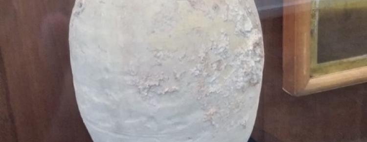 Голосник, тип ІІ