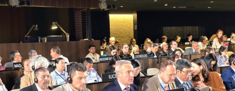 Українська делегація бере участь у 47-й сесії Комітету всесвітньої спадщини ЮНЕСКО зображення 2