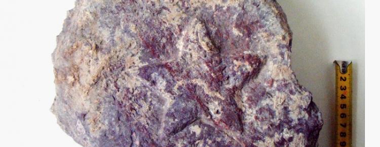 Поховання в саркофагах Успенського собору Києво-Печерської лаври зображення 6