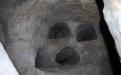 Loculus